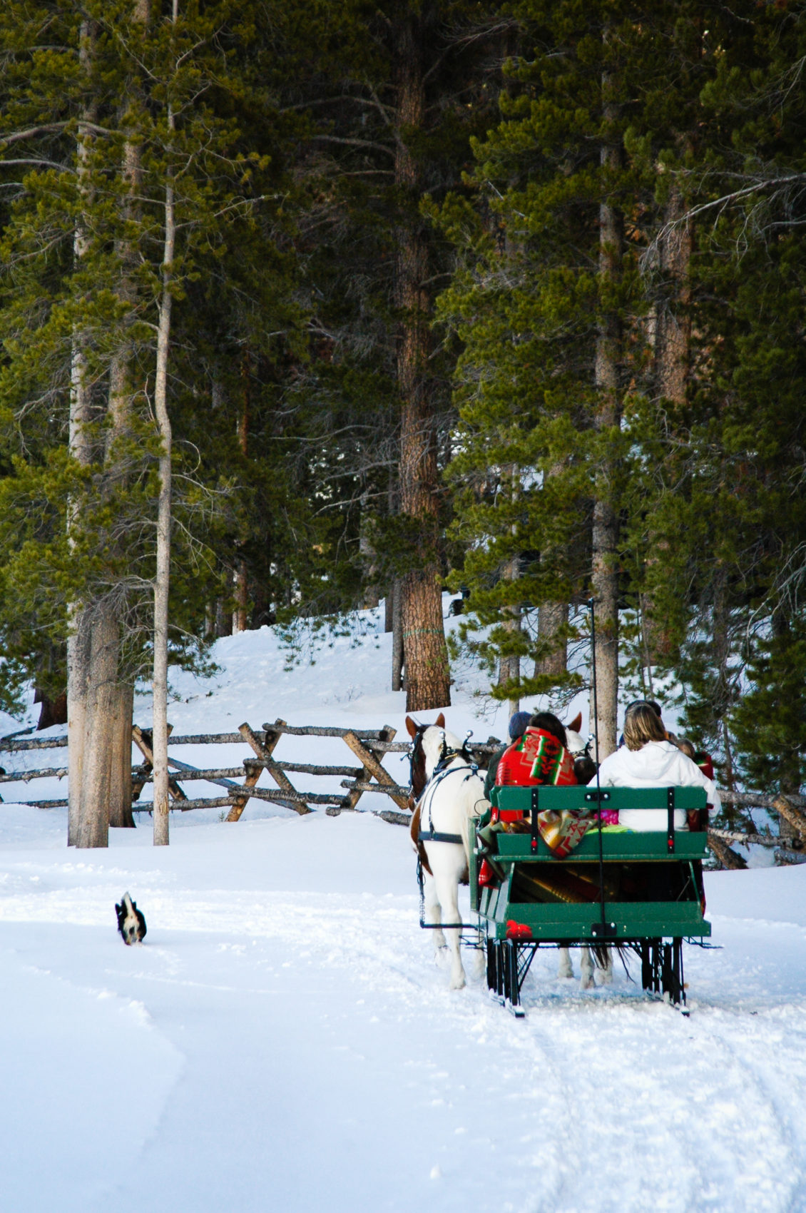 Sleigh Ride